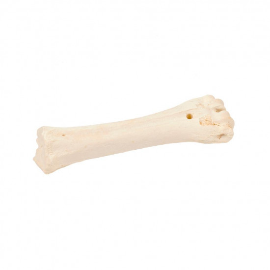 Bones Bovine bone Calcium