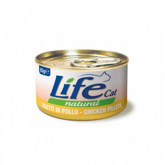 لايف كات اكل قطط رطب فيلية الدجاج