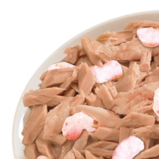 لايف كات تونة مع اللوبستر - 85 جرام لايف كات تونة مع اللوبستر - 85 جرام