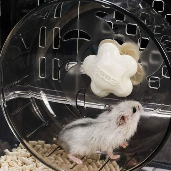 اسطوانة لعب شفافة للهامستر اسطوانة لعب شفافة للهامستر