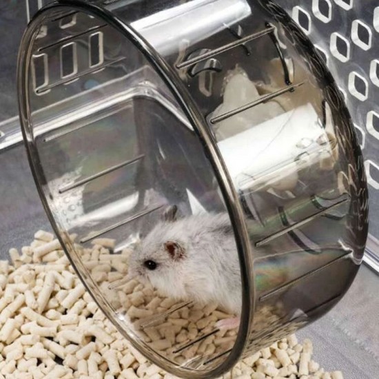 اسطوانة لعب شفافة للهامستر اسطوانة لعب شفافة للهامستر