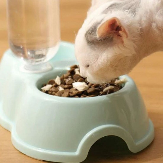 وعاء طعام مزدوج مع قارورة للماء وعاء طعام مزدوج مع قارورة للماء