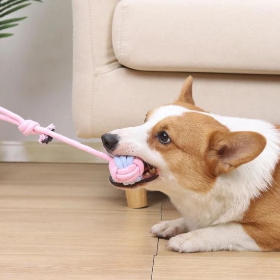 لعبة مضع حبل مضفور 