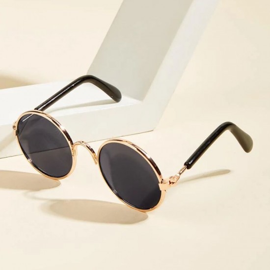 نظارات شمسية للحيوانات الأليفة