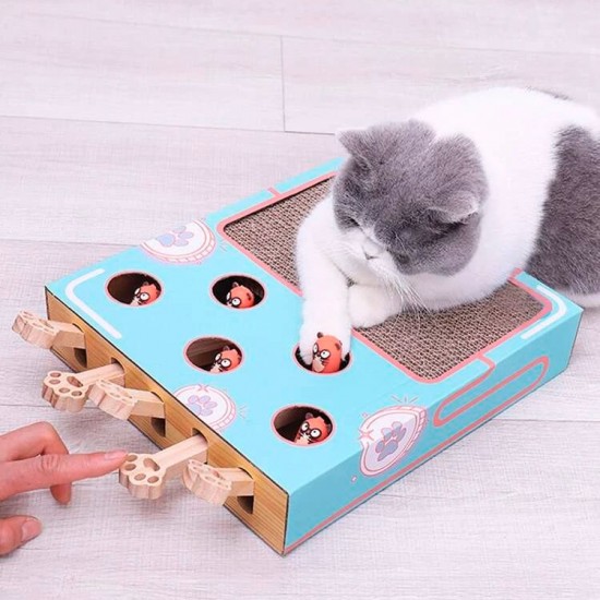 لعبة قطط مع لوح الخدش