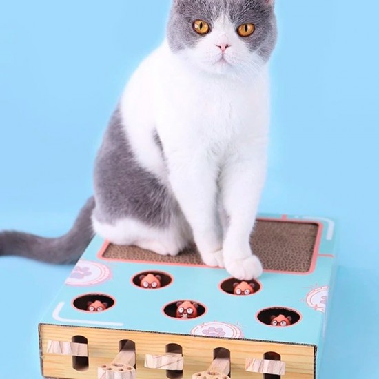 لعبة قطط مع لوح الخدش