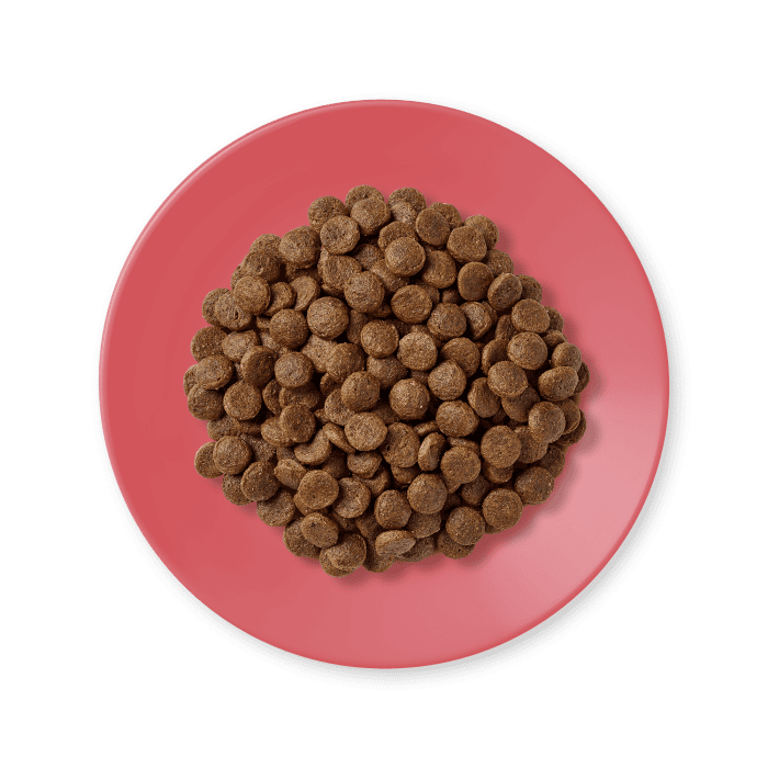 ⁦Applaws Dry Cat Food Chicken with Duck Grain Free⁩ - الصورة ⁦4⁩