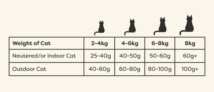 ⁦Applaws Dry Cat Food Chicken with Duck Grain Free⁩ - الصورة ⁦5⁩