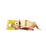 Zolux Sisal Mouse Toy for Cats