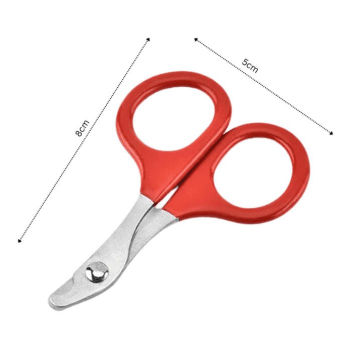 ⁦مقص أظافر للحيوانات الأليفة⁩ - الصورة ⁦2⁩
