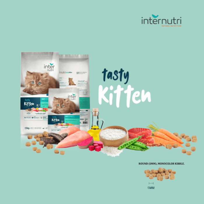 Inter Nutri Tasty Cat Kitten Food with Chicken and Rice - Image 4