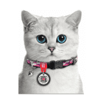 WAU DOG Smart Collar with QR ID Tag - Image 4