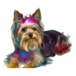 Pet Colours Hair Chalk Combs by Mio Animale - Image 3