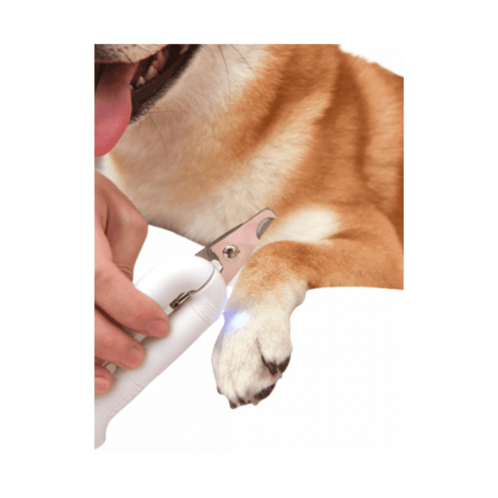 Pakeway Pet Scissor With Lamp - Image 2