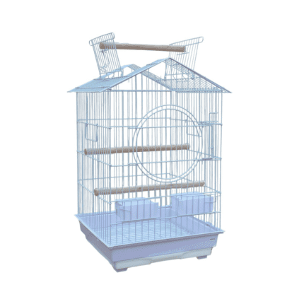 Dayang | Bird Cage A5001