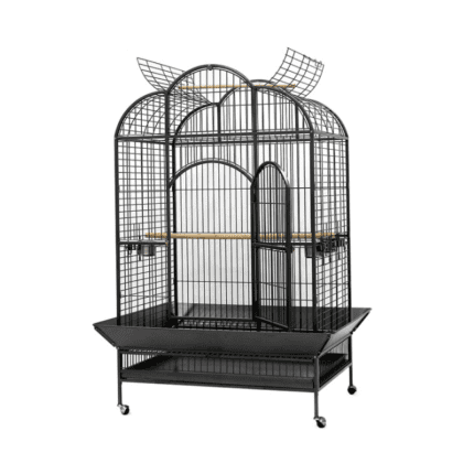 Dayang | Bird Cage A24