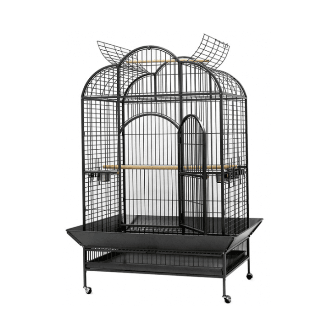 Dayang | Bird Cage A24 Dayang | Bird Cage A24 - Image 1
