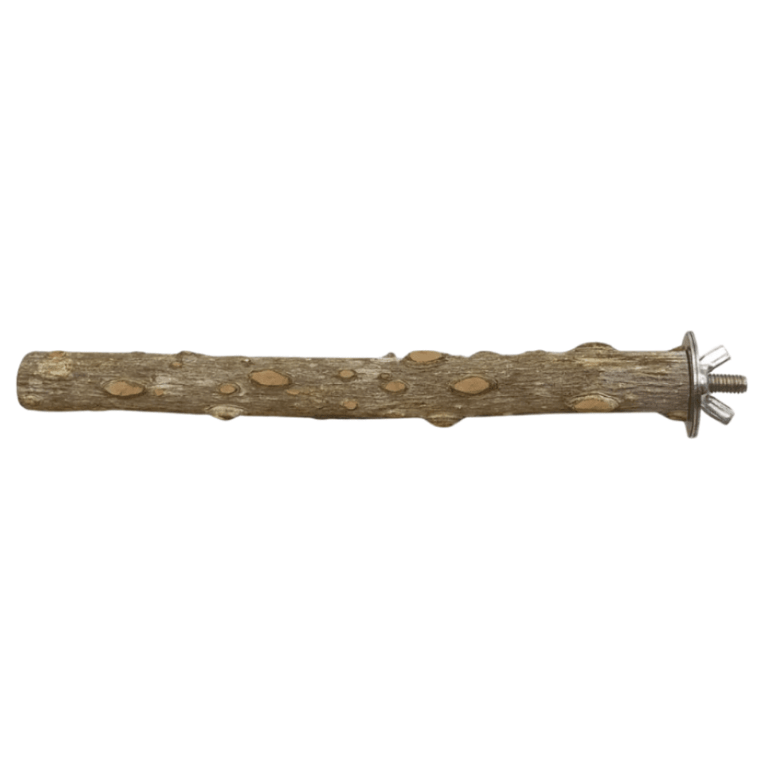 Vanpet | Natural Wooden Perch For Birds Vanpet Natural Wooden Perch For Birds - Image 1