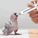 Bird Feeding Kit With Straight Head - Image 3
