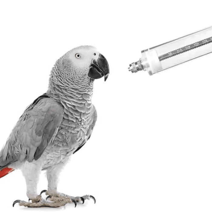 Bird Feeding Kit With Straight Head - Image 4