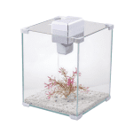 Desktop Aquarium (Classic Design) by Mio Animale - Image 2