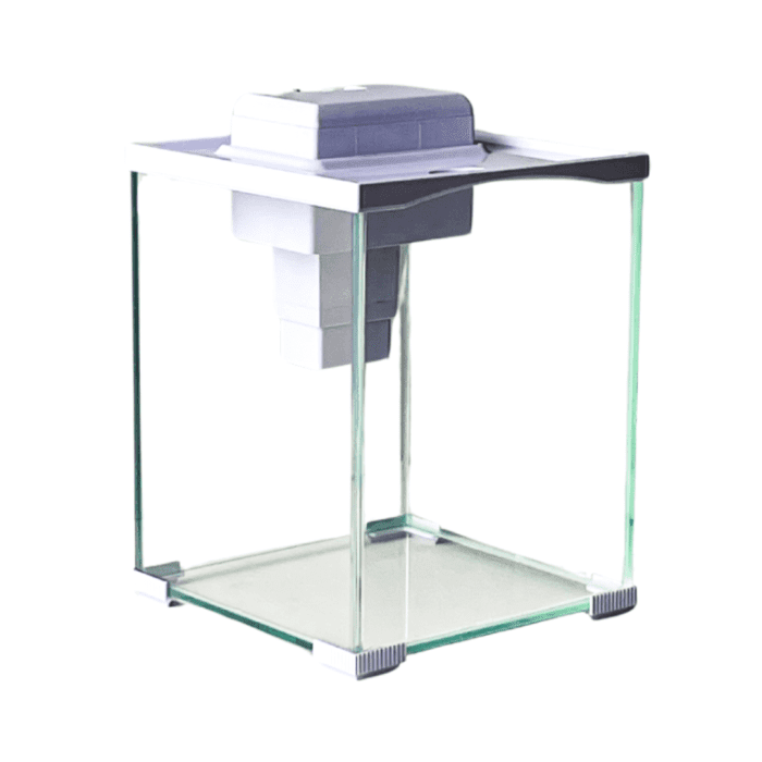 Desktop Aquarium (Classic Design) by Mio Animale - Image 4