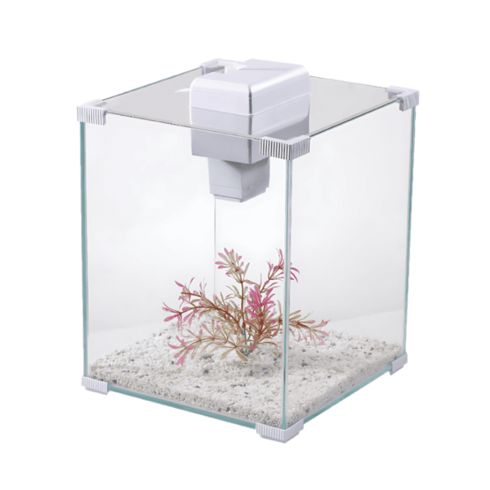 Desktop Aquarium (Classic Design) by Mio Animale - Image 2