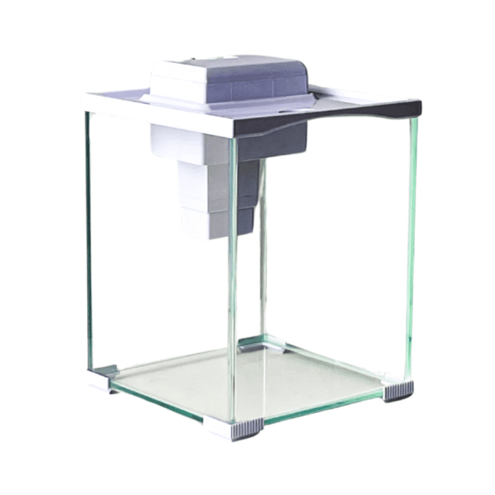 Desktop Aquarium (Classic Design) by Mio Animale - Image 3