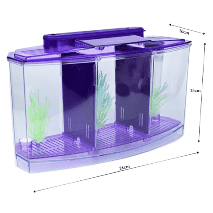 Triple Tank For Fighter Fish with LED Lighting - Image 2