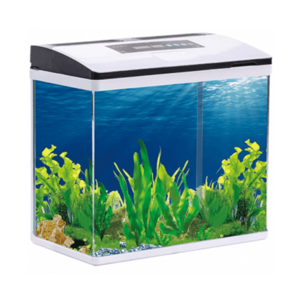 Pufeit | Fish Aquarium AF465