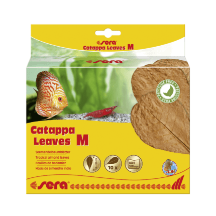 Sera Catappa Leaves M