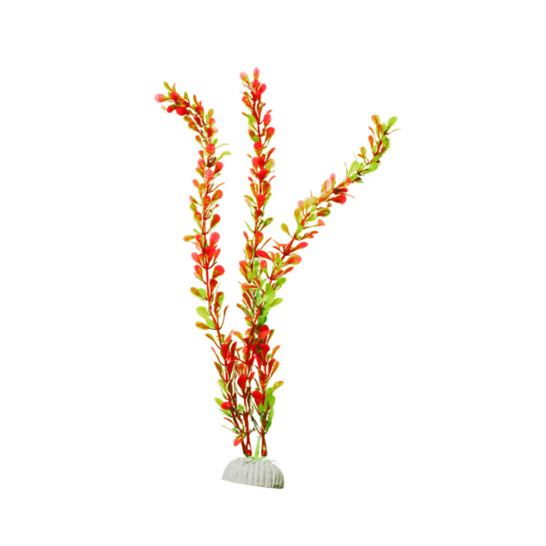 Plastic Plant For Aquarium Decoration Plastic Plant For Aquarium Decoration - Image 1