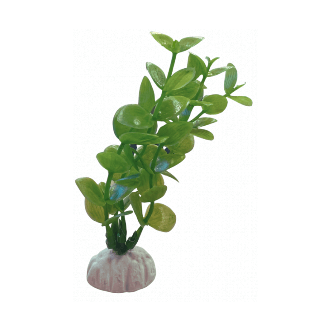Plastic Plant For Aquarium Decoration (12cm) Plastic Plant For Aquarium Decoration (12cm) - Image 1