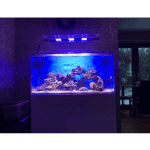 MAXSPECT Razor R420R 160W / 16000K Led Lighting System - Image 2