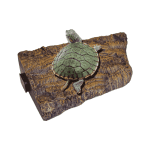 Dophin Turtle Floating Island