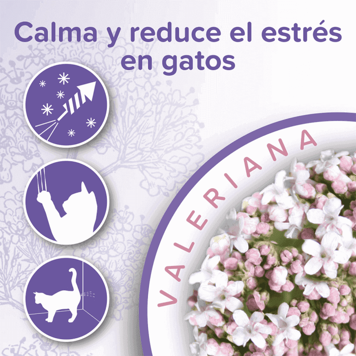 Beaphar Calming Collar for Cats - Image 3