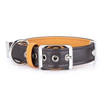 MF HERMITAGE Collar Leather Brown & Beige
