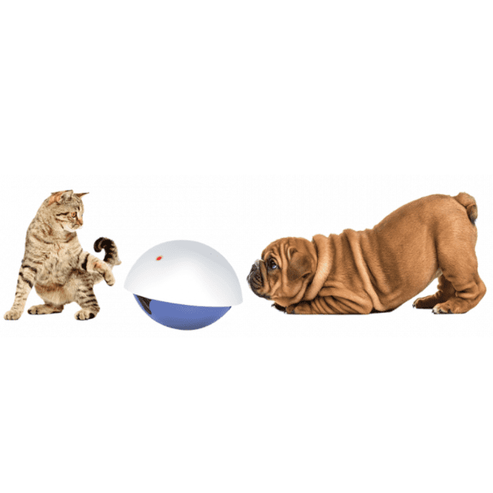 Duvo+ White/blue laser and snack game - Image 2