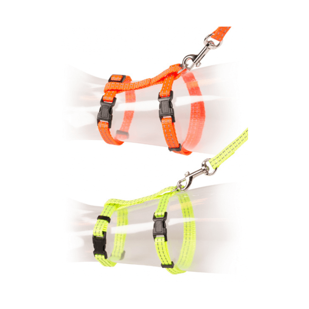 Duvo+ | Big cat walking set reflective uni طقم مشي للقطط الكبيرة من دوفو بلس عاكس للضوء - الصورة 1