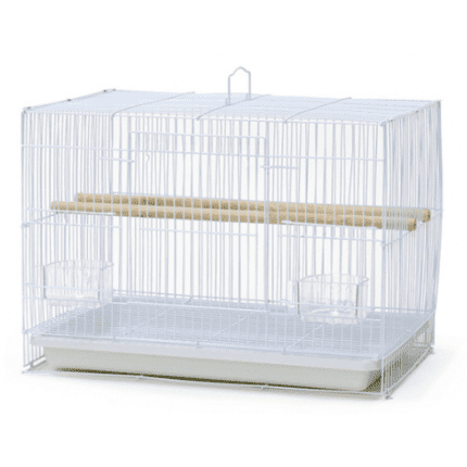Dayang Bird Cage 600