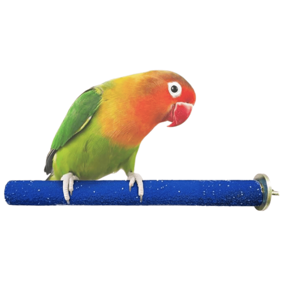 Sand Stick For Birds 01730 عصا الرمل للطيور 01730 - الصورة 1