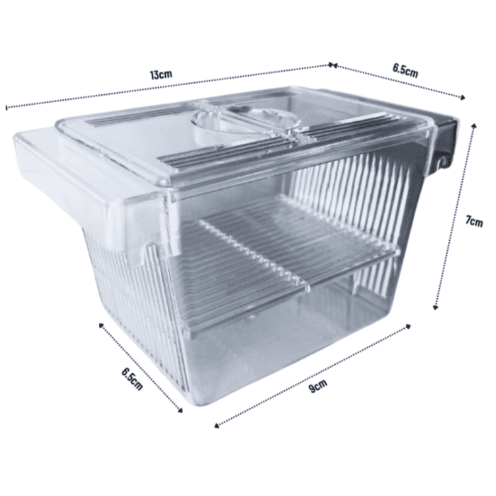 BREEDER BOX - Image 2
