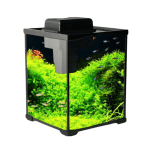 Desktop Aquarium (Classic Design) by Mio Animale