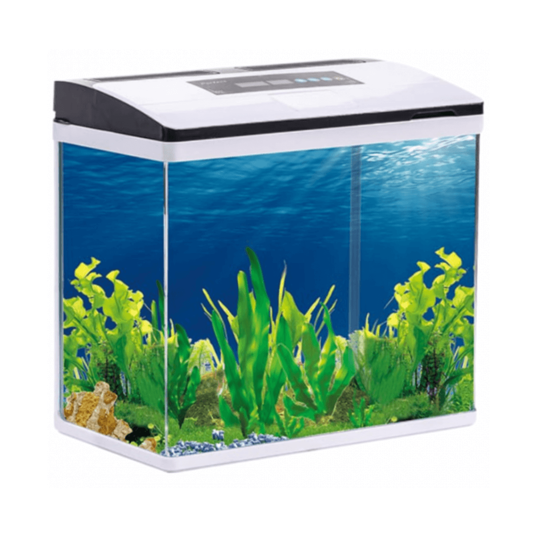 Pufeit | Fish Aquarium AF465 Pufeit | Fish Aquarium AF465 - Image 1
