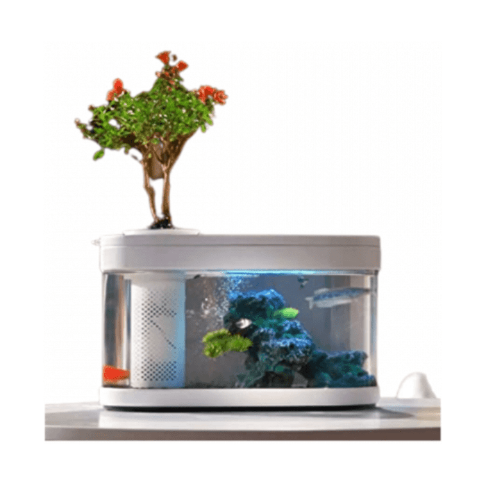 Aquaponics Aquarium - Image 2