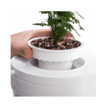 Aquaponics Aquarium - Image 4