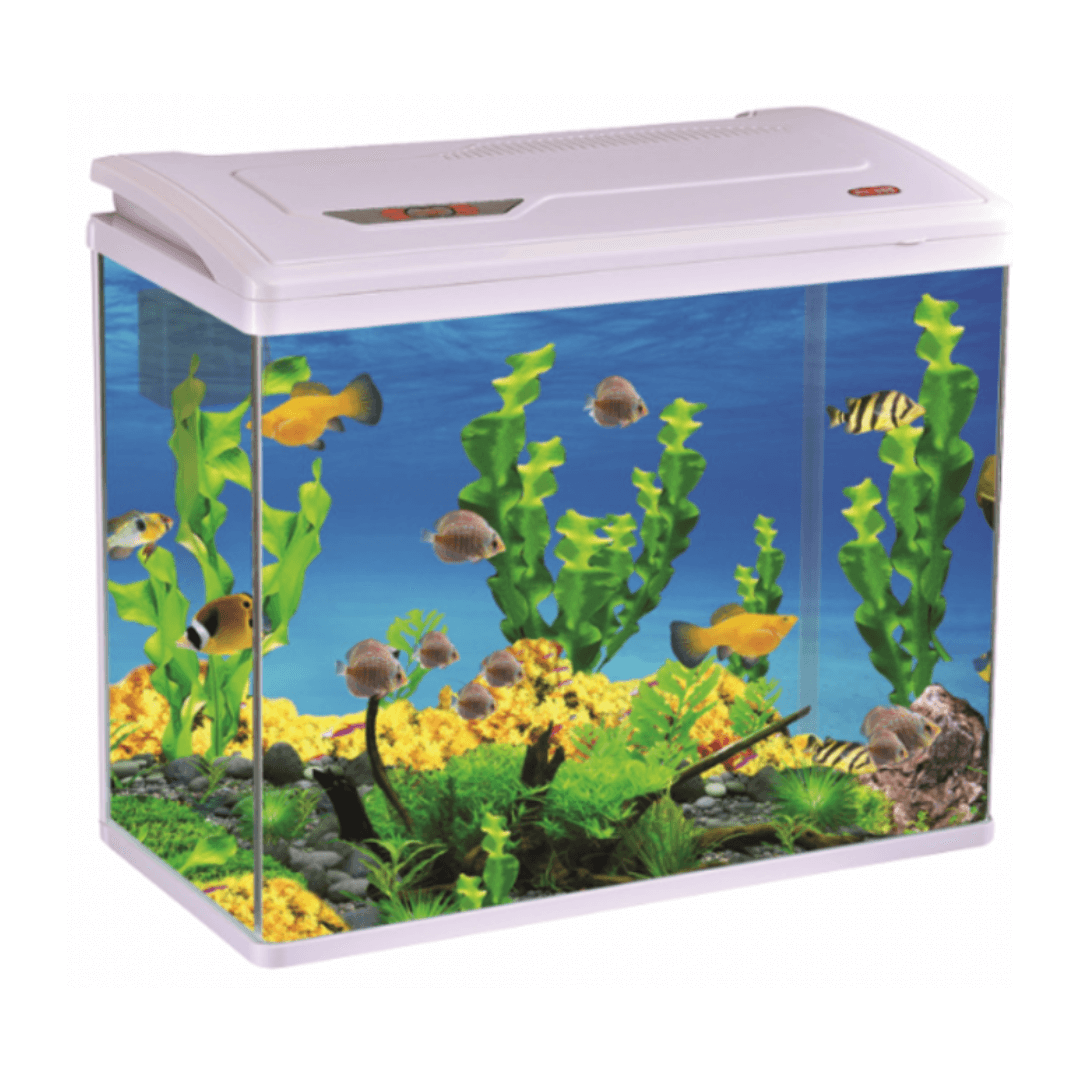Pufeit | Fish Aquarium PY580 حوض أسماك بوفيت PY580 - الصورة 1
