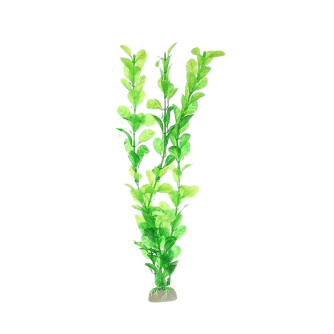 Plastic Plant For Aquarium Decoration Plastic Plant For Aquarium Decoration - Image 1