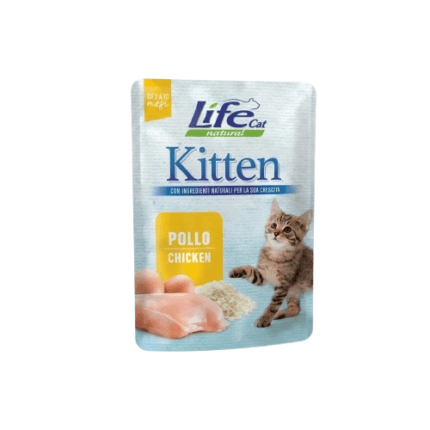 Life Cat Kitten Food Chicken With Egg